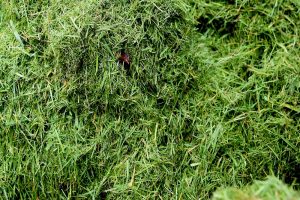 compost services preston