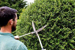 preston hedge trimming