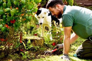weed control preston fulwood garden